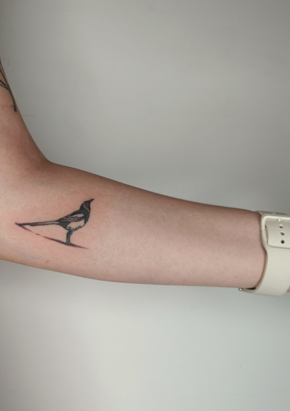 tattoo-microrealista-pajaro-madrid