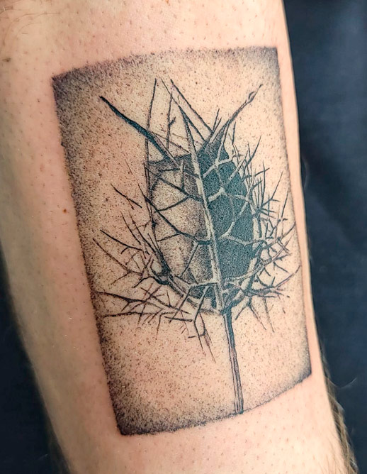 dotwork-tattoo-cardo-madrid