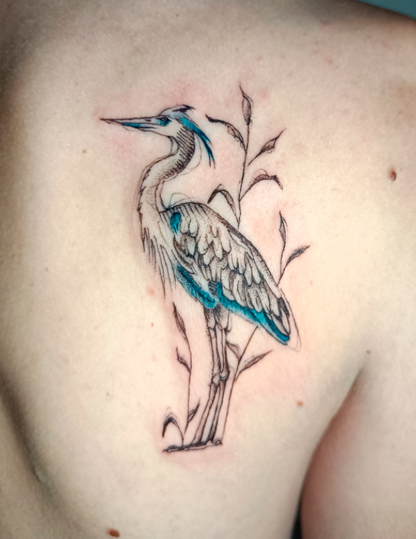 tatuajes-de-garzas-tattoo-madrid-sketch