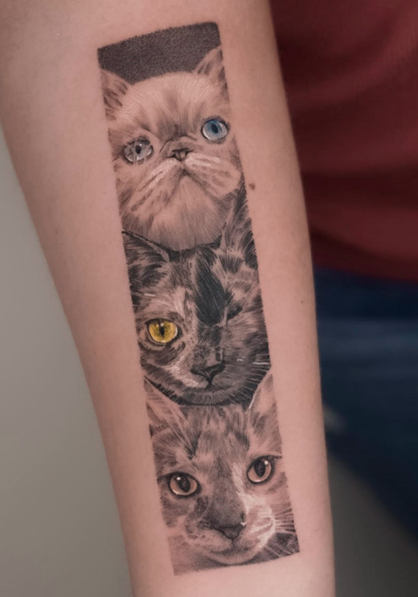 tatuajes-de-gatos-realistas-madrid